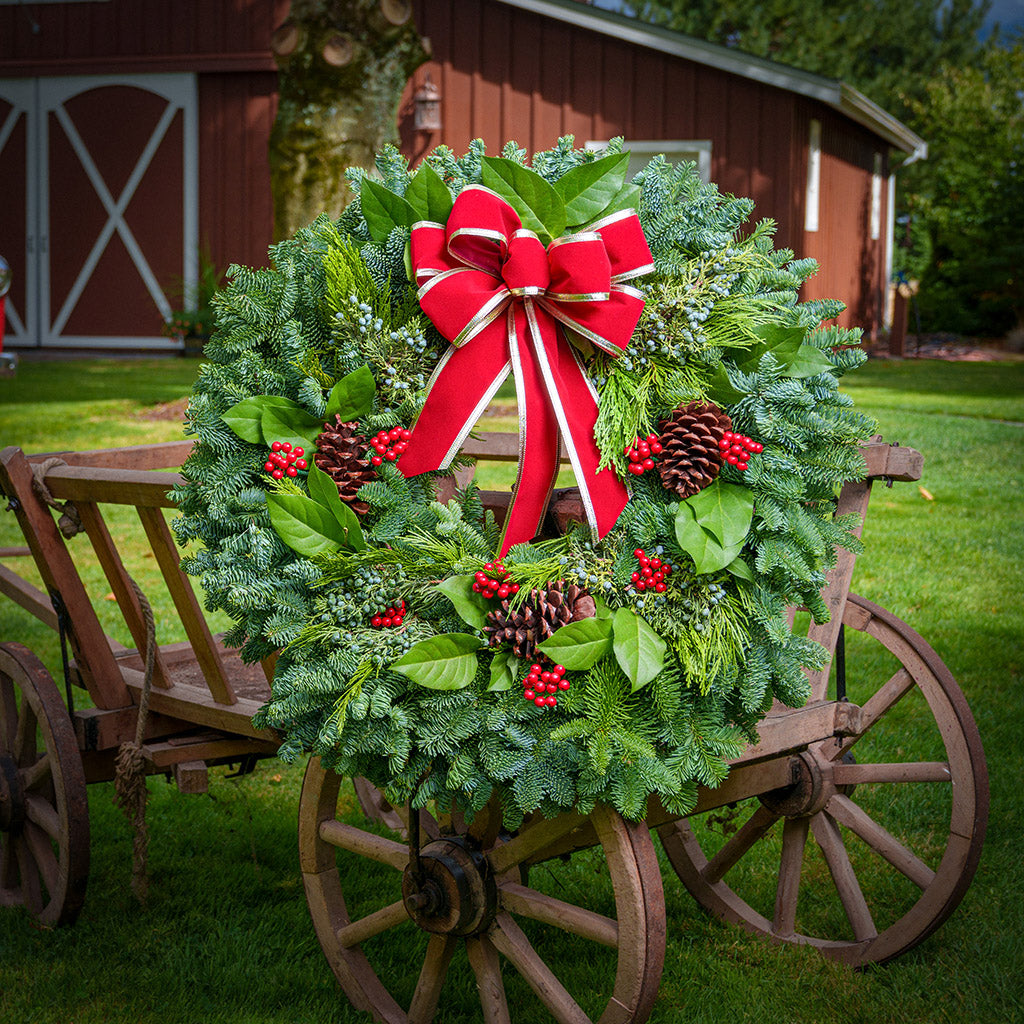 Christmas wreath of noble, cedar, juniper and salal with pine cones, red bow with gold edges and red berry clusters