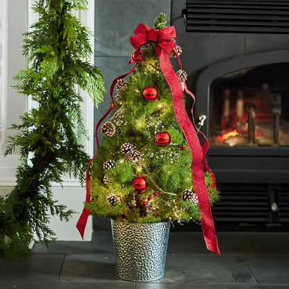 Scarlet Forest Living Christmas Tree - 1 Gallon