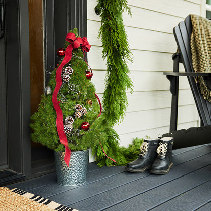 Scarlet Forest Living Christmas Tree - 1 Gallon