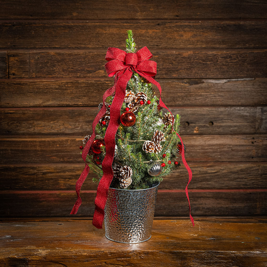 Scarlet Forest Flocked Living Tree One Gallon