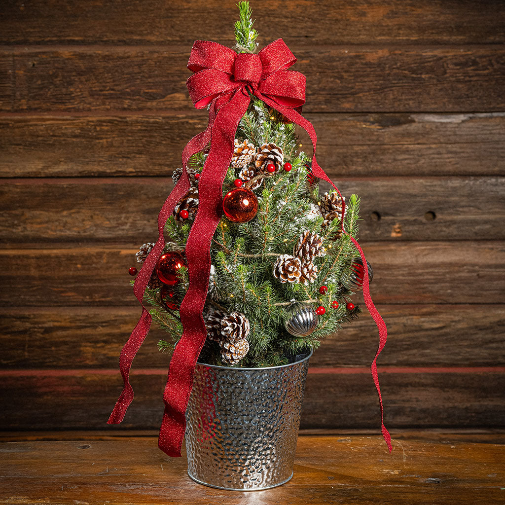 Scarlet Forest Flocked Living Tree One Gallon