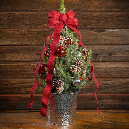 Scarlet Forest Flocked Living Tree One Gallon