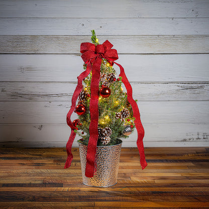 Scarlet Forest Flocked Living Tree One Gallon