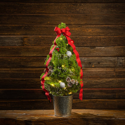 Scarlet Forest Living Christmas Tree - 1 Gallon