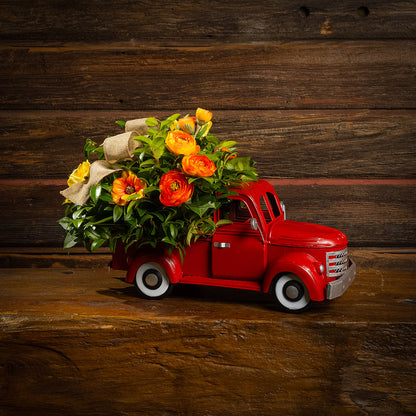 Fresh salal and green huckleberry with faux orange cosmos flowers, faux mini yellow roses, faux orange ranunculus flowers, and a natural linen bow in a red metal truck container