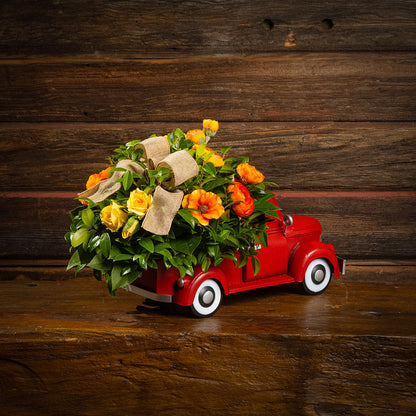 Fresh salal and green huckleberry with faux orange cosmos flowers, faux mini yellow roses, faux orange ranunculus flowers, and a natural linen bow in a red metal truck container