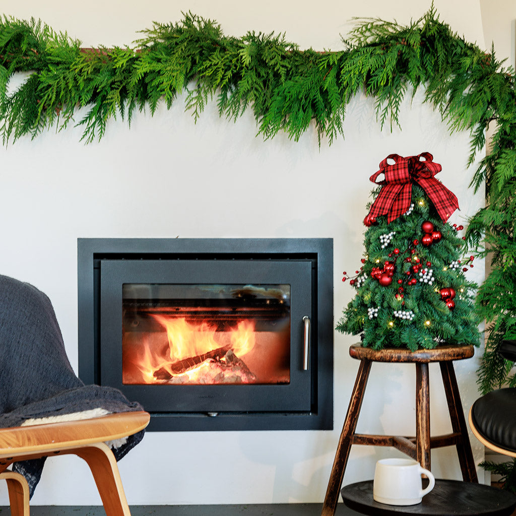 Tartan Tree – Lynch Creek Farm