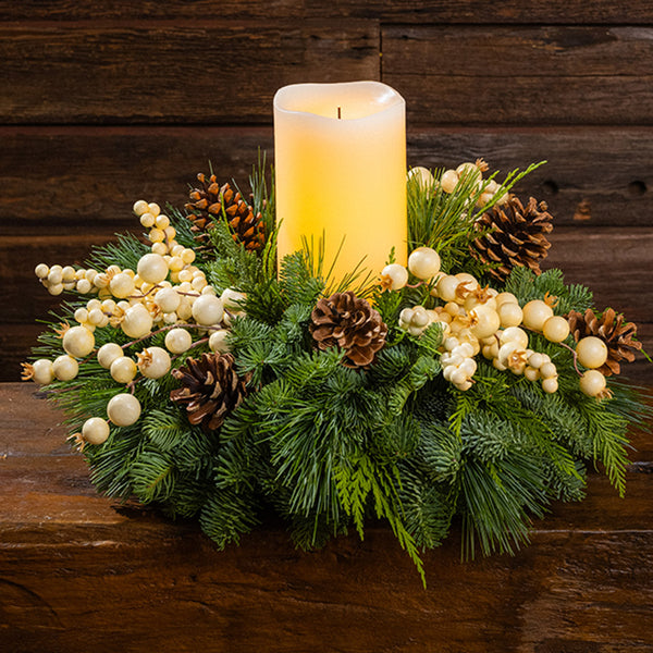 TranquilForest-2_grande.jpg?v=