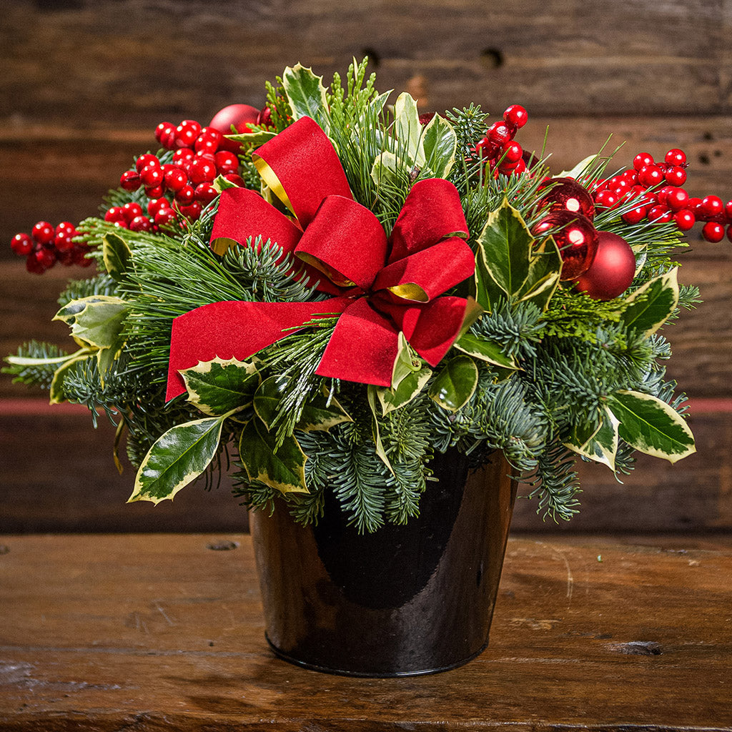 Winter Grace – Lynch Creek Farm
