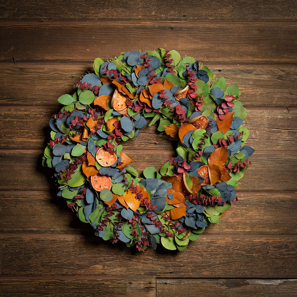 A dried wreath made of preserved green silver dollar eucalyptus leaves mixed with preserved blue silver dollar eucalyptus leaves, red preserved spiral eucalyptus, preserved salal leaves in amber color, and dried natural orange quince slices hung on a dark wood background.