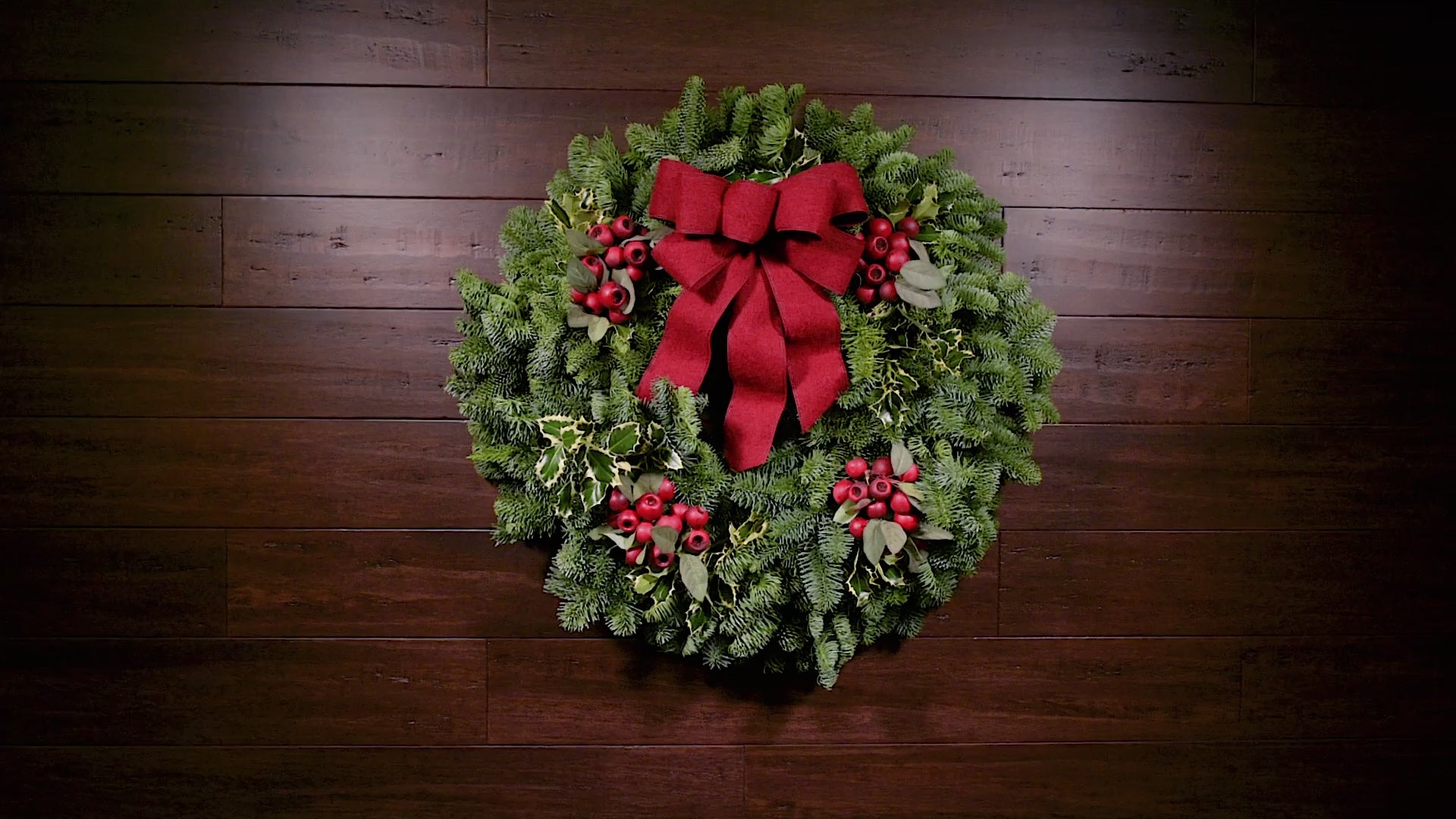 Touch of Holly – Lynch Creek Farm