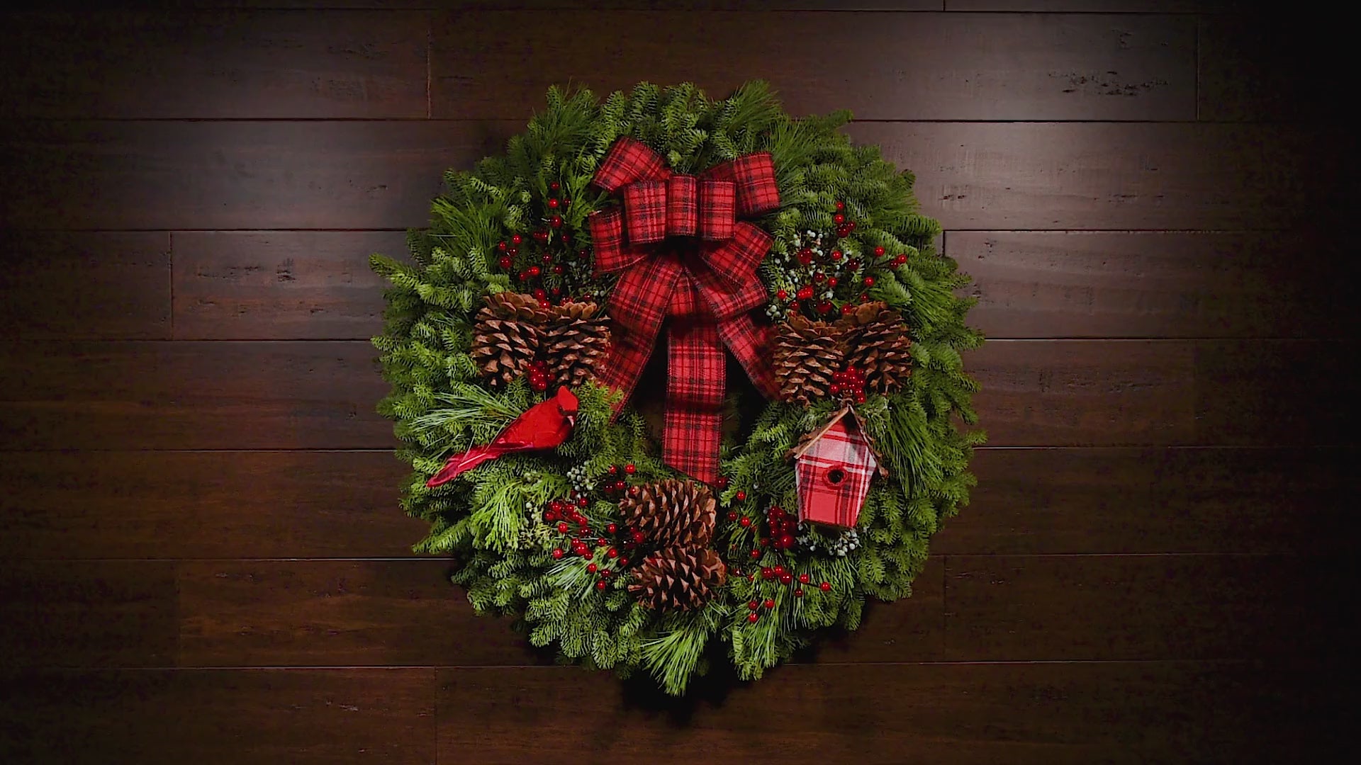 Wildlife Adventure – Lynch Creek Farm