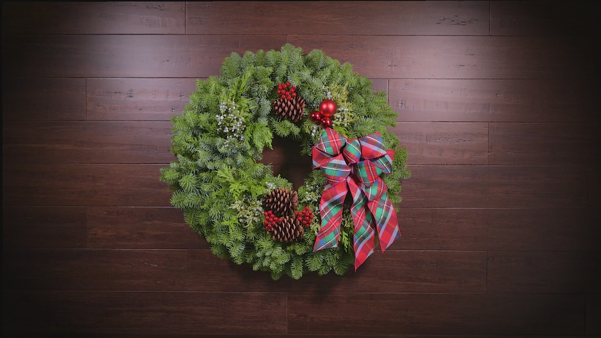 An Evergreen Welcome – Lynch Creek Farm