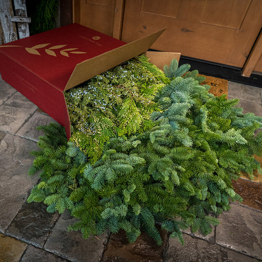 Loosely boxed 14 lbs of Noble Fir in 6"-24” length pieces, 3 lbs of Incense Cedar in 6" - 18" length pieces, and 3 lbs of Juniper in 6" - 12" length pieces laying on a front porch.