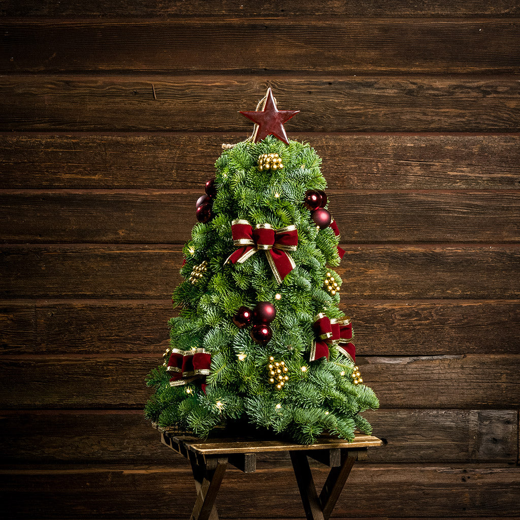 A small tree made of sprigs of fresh and fragrant noble fir evergreens, and decorated with burgundy bows with gold edges and shiny accents of burgundy balls and gold berries, topped with a burgundy star ornament sitting on a small wood table with a dark wood background. 