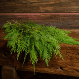 Loose Cedar in 6"-18” length pieces on a dark wood background.