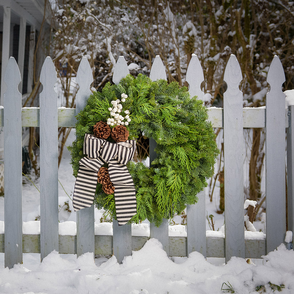 A wreath made of noble fir and cedar with 4 ponderosa pine cones, a branch of faux white berries, and a black and ivory striped burlap bow hanging on a white picket fence.
