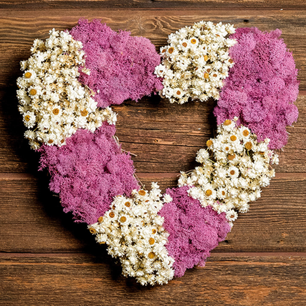 17” wreath made of pink reindeer moss and natural ammobium strawflower shaped into a heart on a dark wood background.