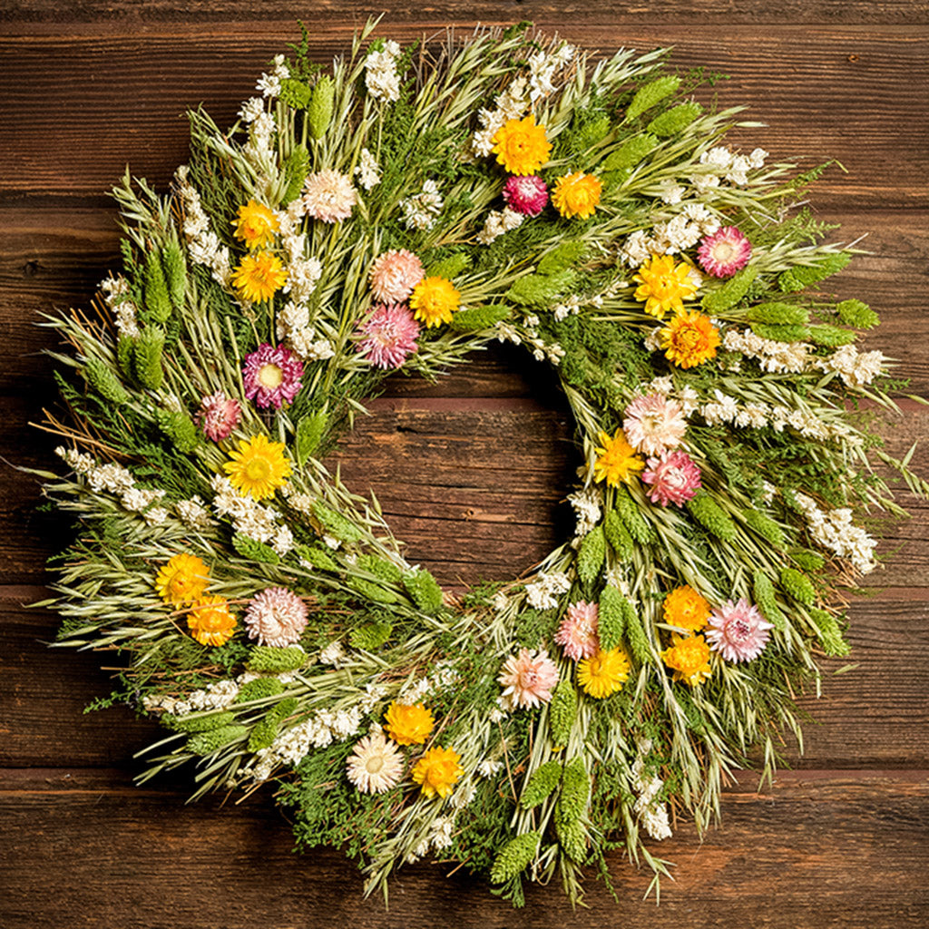 A wreath made of green caspia, lime green phalaris, natural oats, almond oats, yellow and pink strawflowers hung on a dark wooden background.