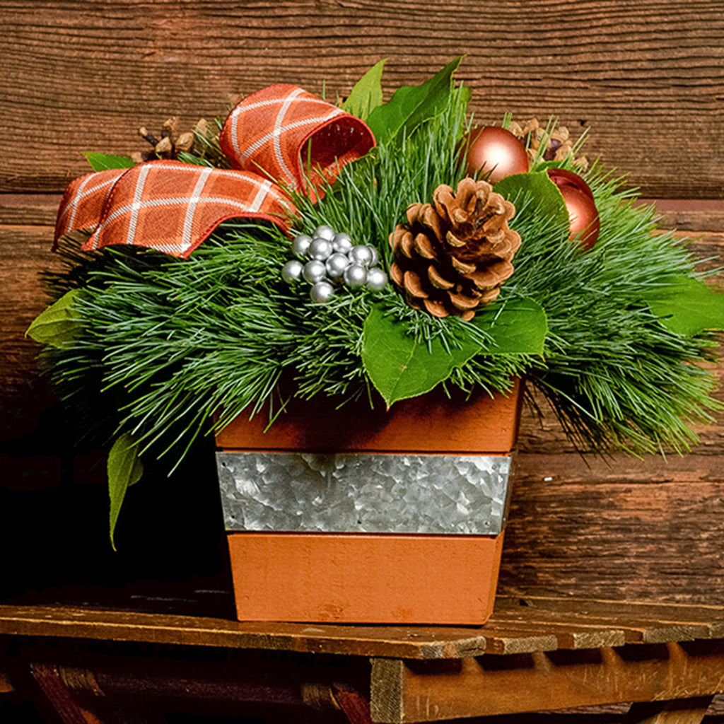 An arrangement made of White pine and salal with copper-orange balls, silver berry clusters, Austrian pinecones, and an orange plaid linen bow in an orange wooden container on a dark wood background.