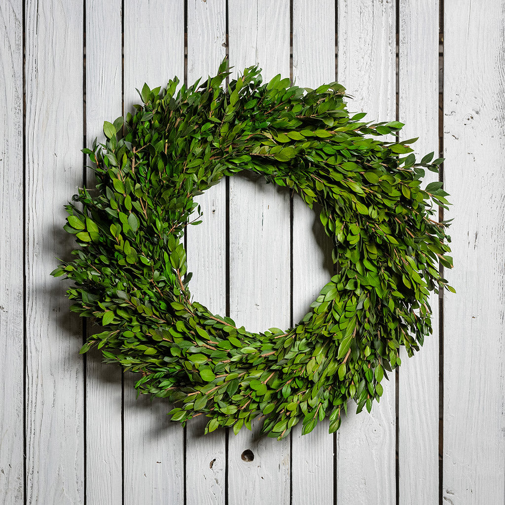 22” wreath is lovingly handcrafted with all natural preserved green myrtle on a white wood fence background.