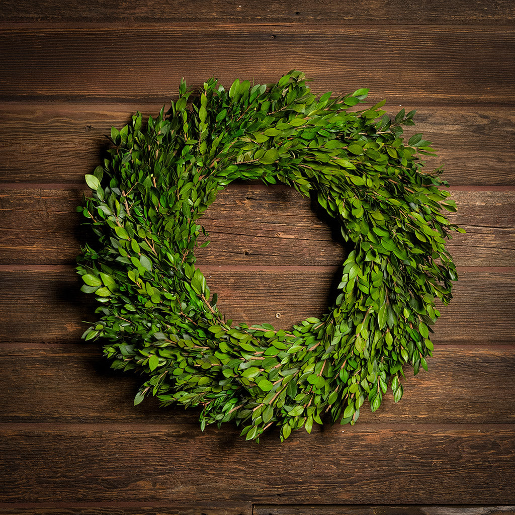 22” wreath is lovingly handcrafted with all natural preserved green myrtle on a dark wood background.