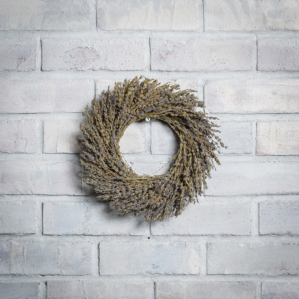 10” dried lavender wreath on a white brick background. 