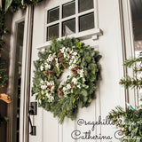 Holiday wreath made of noble fir, incense cedar, white pine, and bay leaf with faux white berries and leaves, and Australian pine cones hanging on a front door