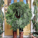 Christmas wreath with cedar and pine held by a person.