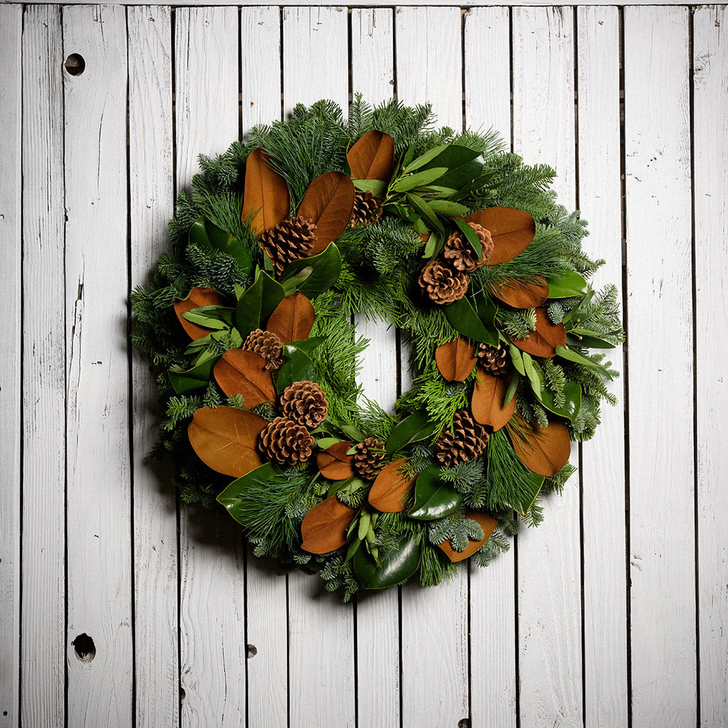Holiday wreath made of noble fir, cedar, and pine with bay and magnolia leaves, ponderosa pine cones, and Australian pine cones with a white wood background.