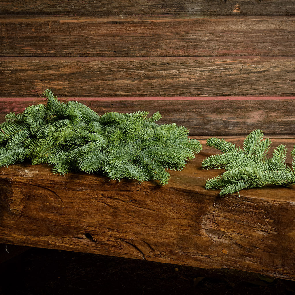 20 pounds of loose Noble Fir with a dark wood background.