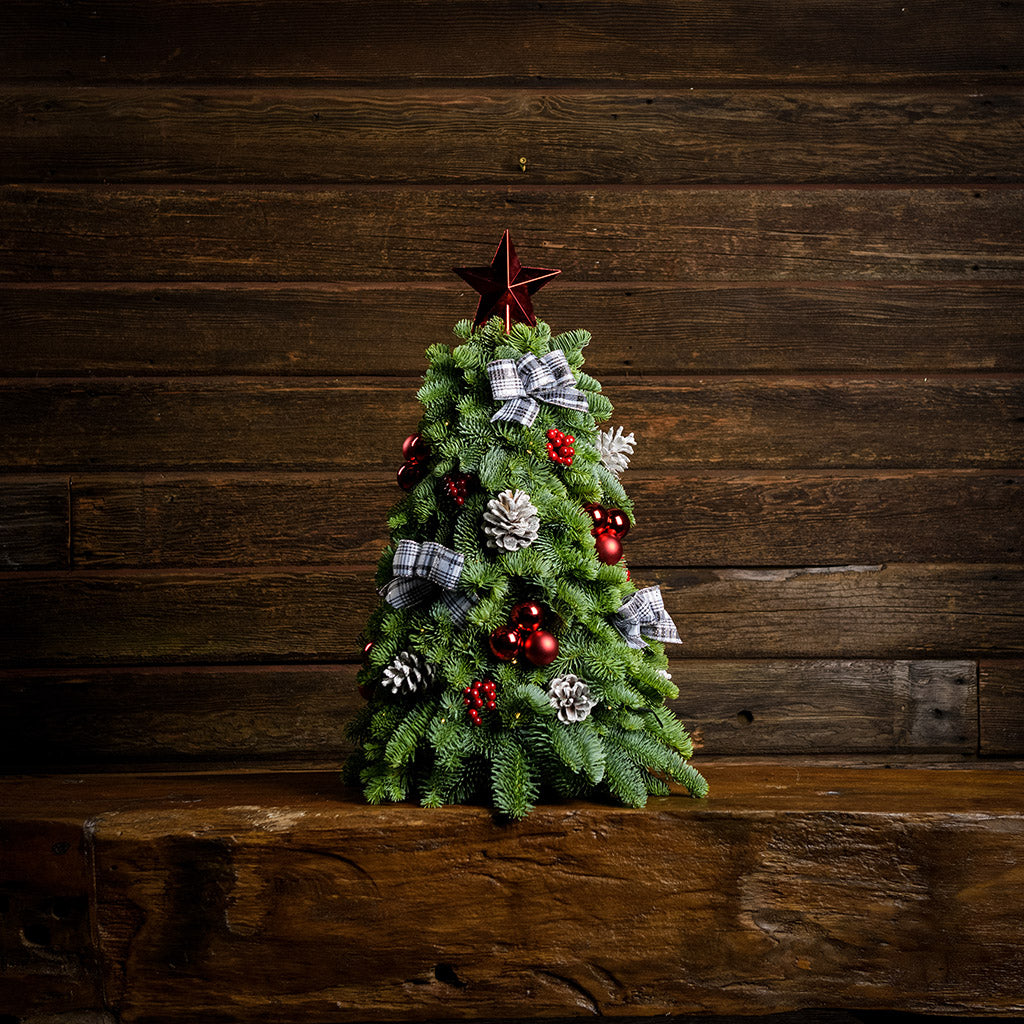 18” miniature tree decorated with white and black plaid bows, shiny red balls and berries, frosted pinecones and topped with a shiny red star tree-topper with a dark wood background sitting a on a wooden counter. 