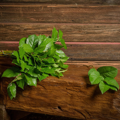 A bunch of loose Salal with a dark wood background.