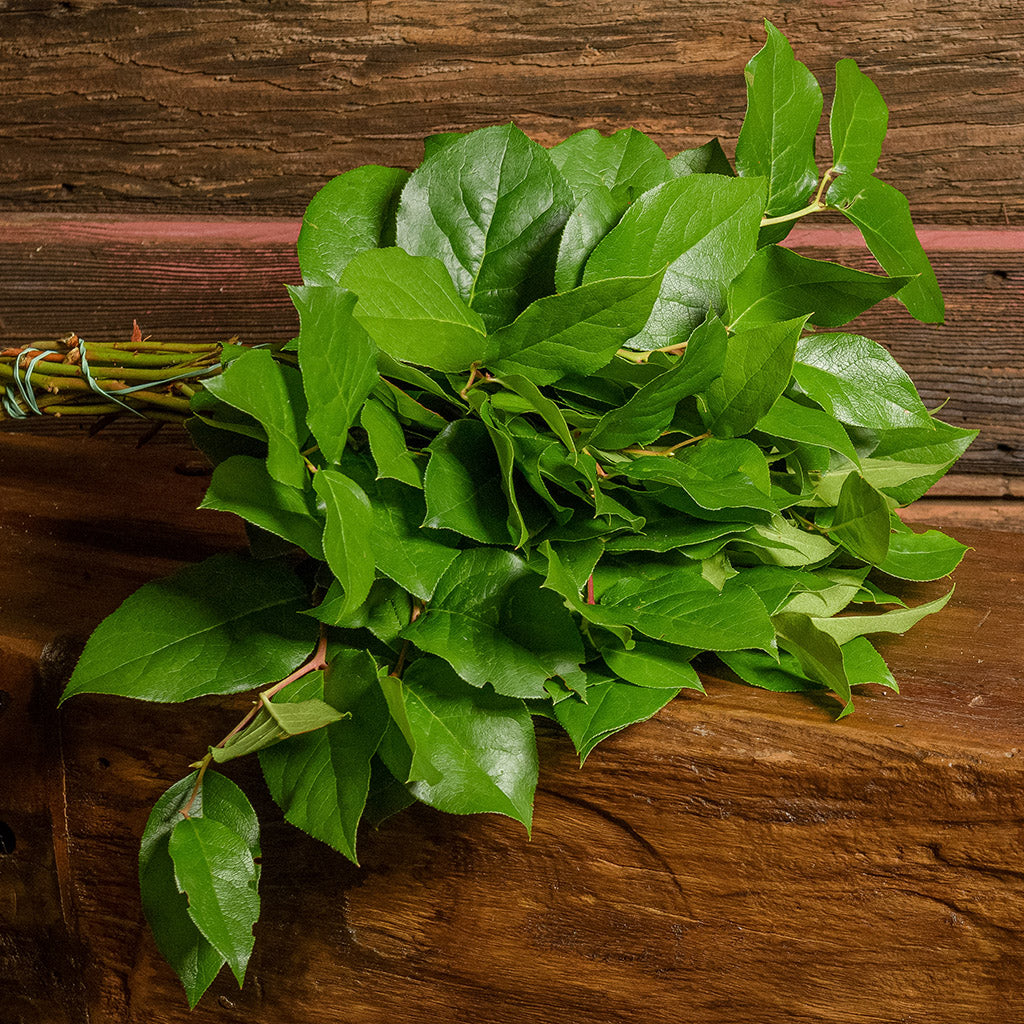 A bunch of loose Salal with a dark wood background.