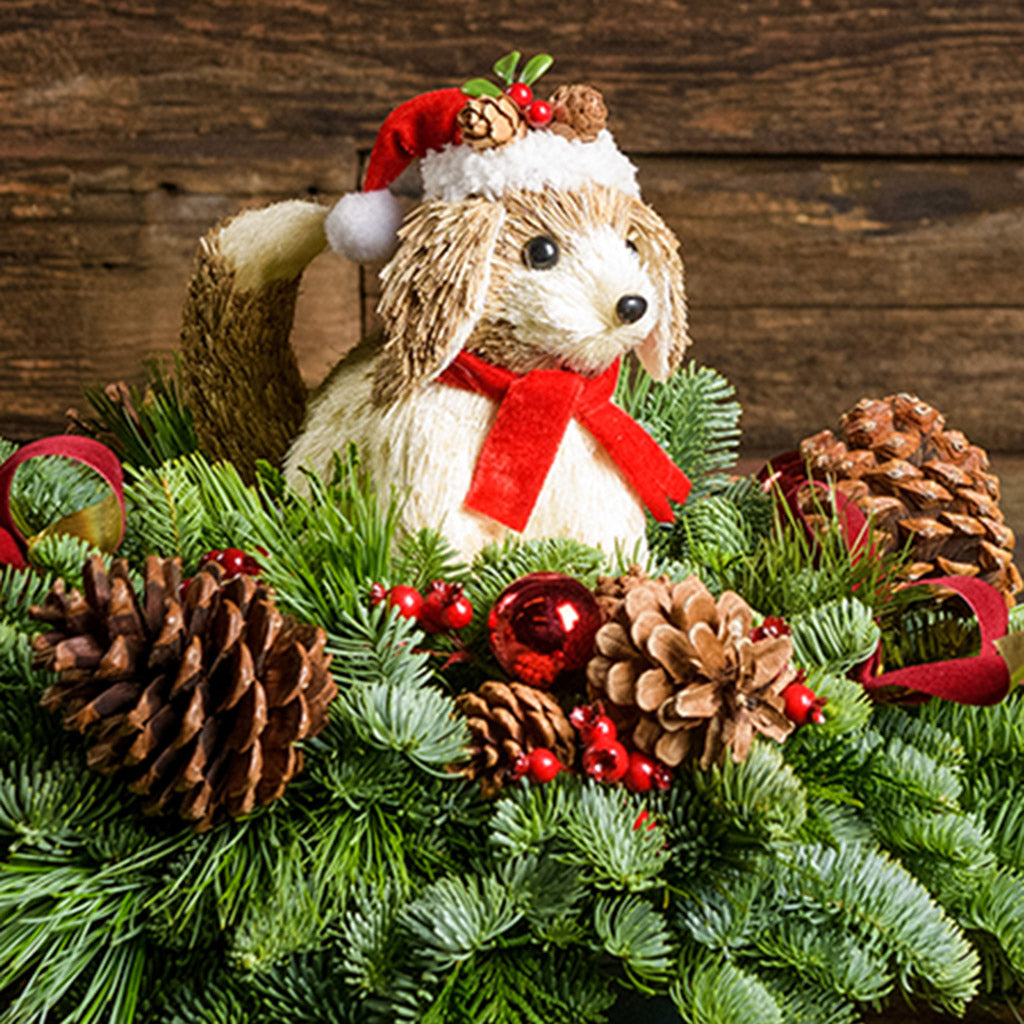 A holiday centerpiece of noble fir, white pine, incense cedar, 3 small pinecone and red berry decorations, 3 ponderosa pinecones, 3 red berry clusters, 3 red velvet bows, and a sisal Christmas dog decoration with a wood background. 