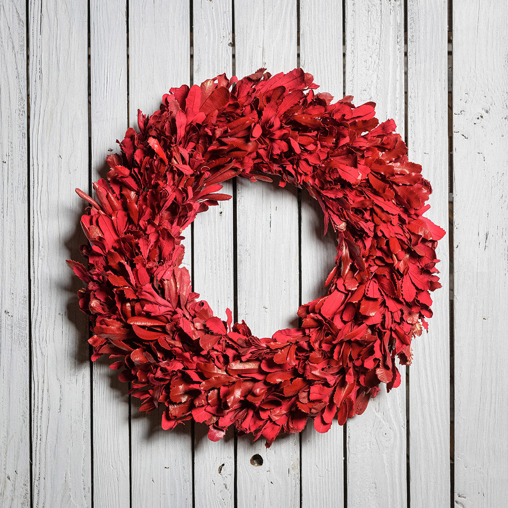 22” red holiday wreath made of natural red integrifolia leaves on a white wood fence background.