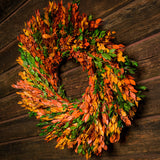 22" wreath made of naturally preserved green, yellow, and orange myrtle on a dark wood background. 