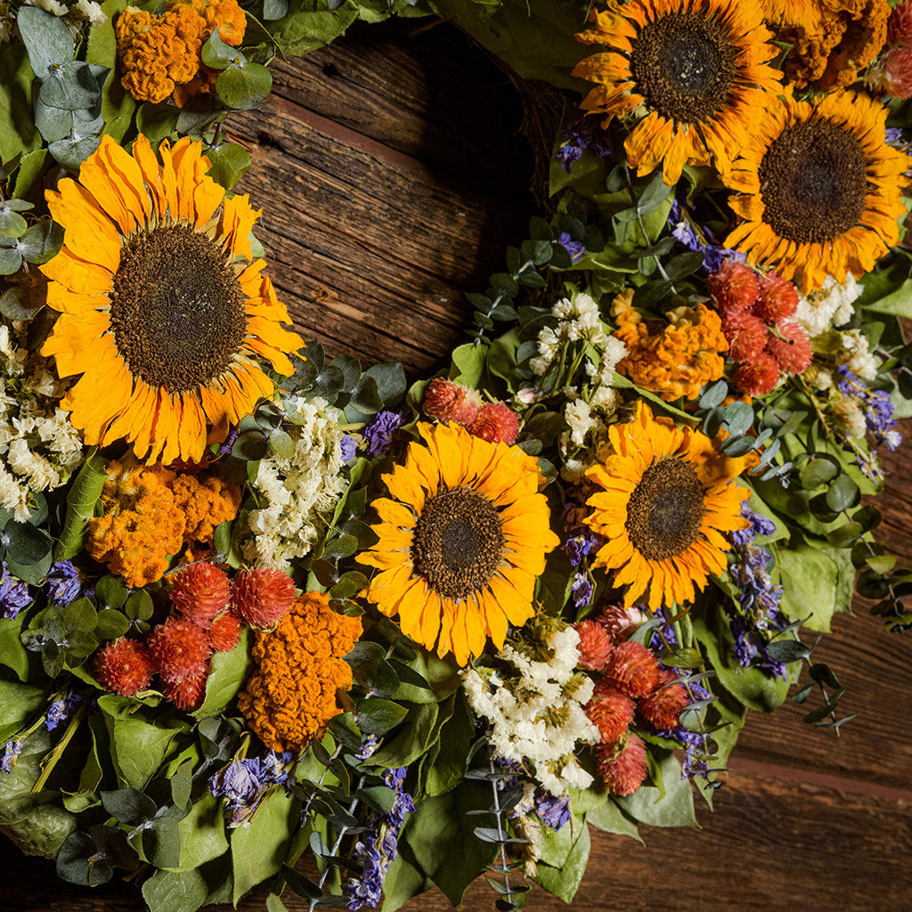 22" floral wreath made of  eucalyptus, yellow coxcomb, white statice, red globe amaranthus, salal leaves, and real sunflowers on a dark wood background.