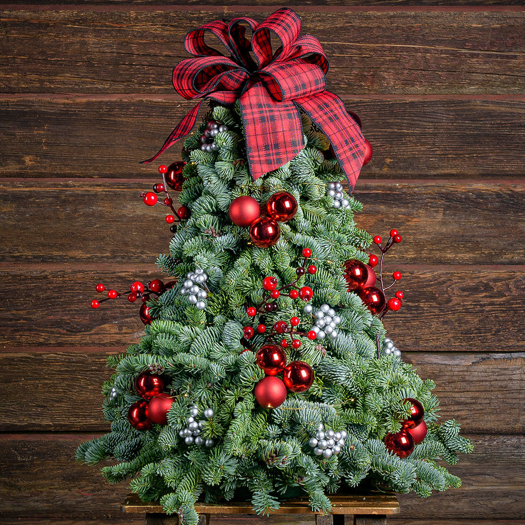 Assembled tree of noble fir,red ornaments, silver berries, red berry branch and a red and black tartan bow