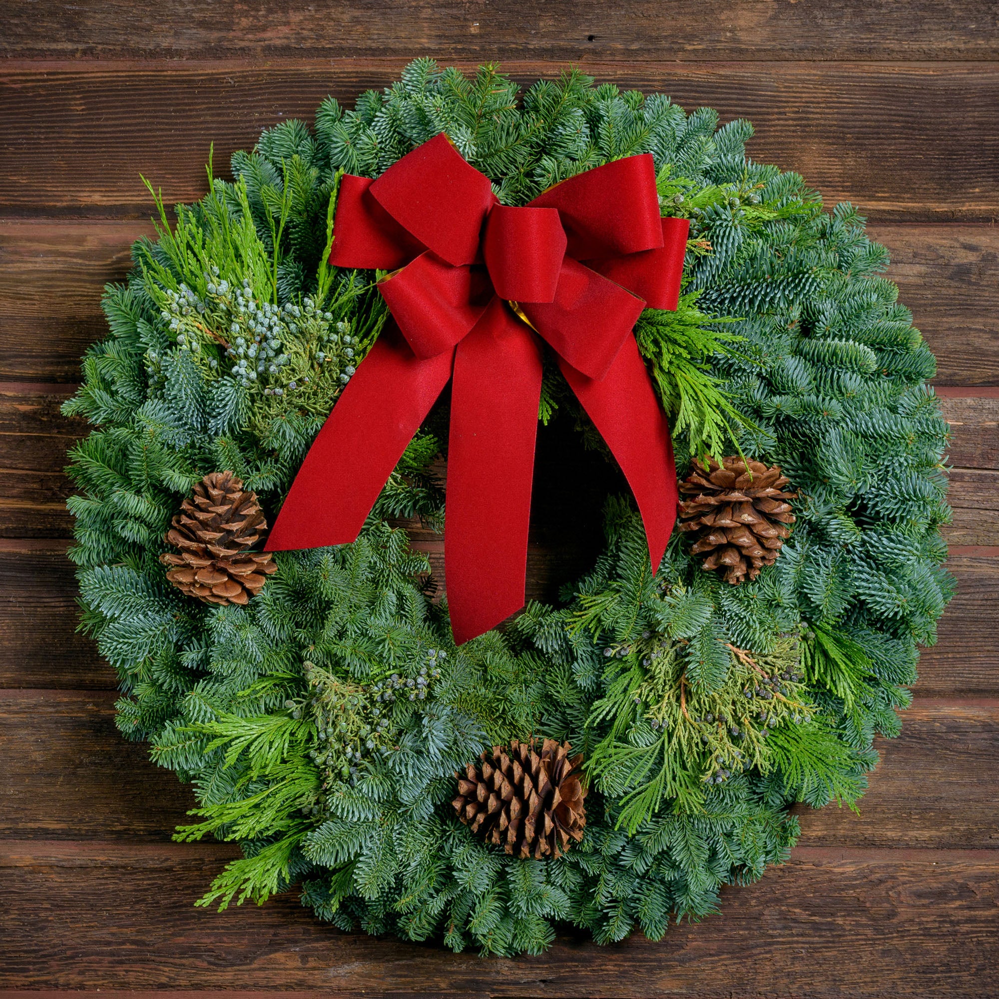 Christmas wreath made of fir, pine, cedar and juniper with pine cones and a gold-backed red velveteen bow