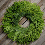 Fresh Evergreen Christmas wreath with cedar and pine and no bow