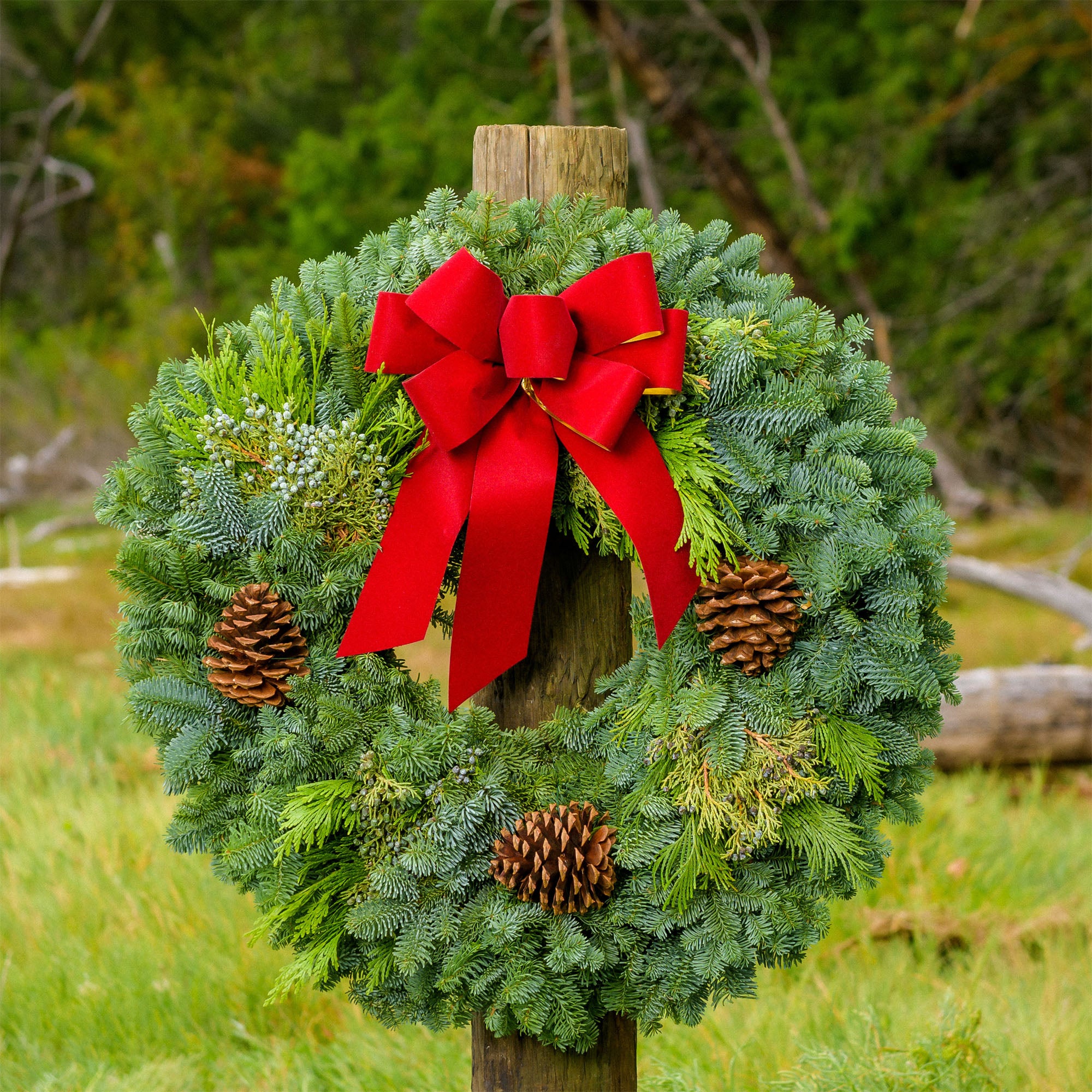 Christmas wreath made of fir, pine, cedar and juniper with pine cones and a gold-backed red velveteen bow on wood post