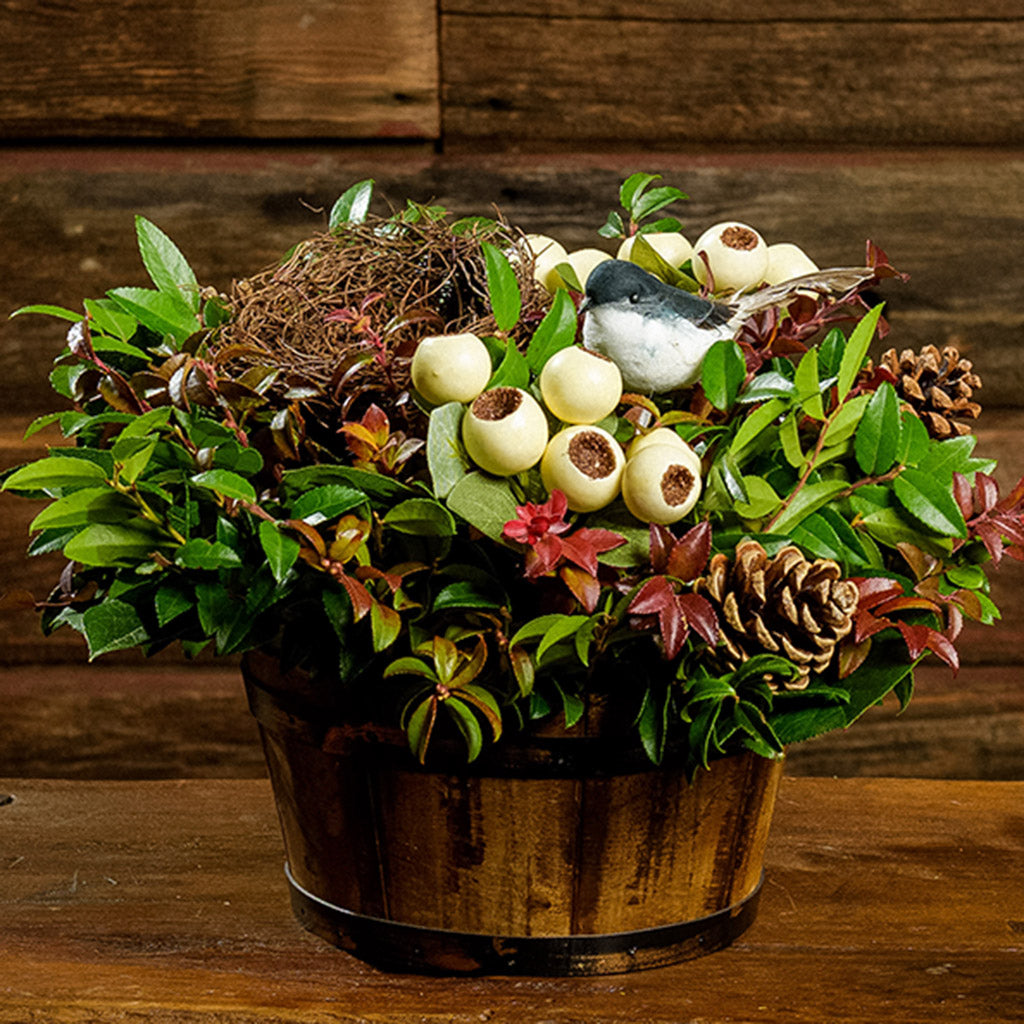 A close-up of a centerpiece made of fresh salal, green huckleberry, red huckleberry, and sweet huckleberry with pinecones, chickadee bird, reindeer moss, birdnest, and faux cream berry bods in a rustic wooden barrel container sitting on a dark wooden bench.